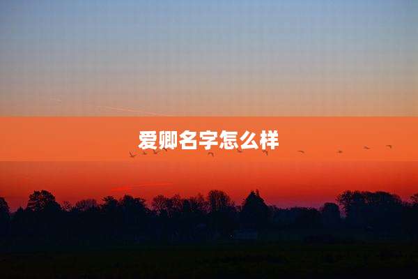 爱卿名字怎么样