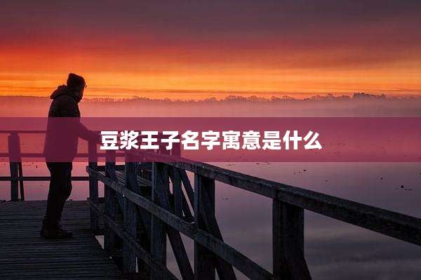 豆浆王子名字寓意是什么