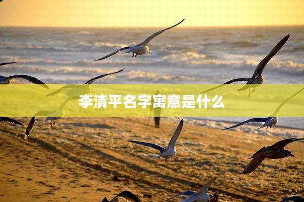 李清平名字寓意是什么
