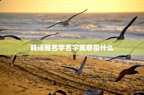 韩诗雅名字名字寓意是什么