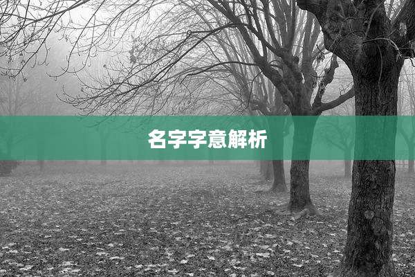 名字字意解析