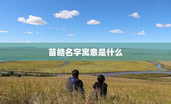 苗皓名字寓意是什么