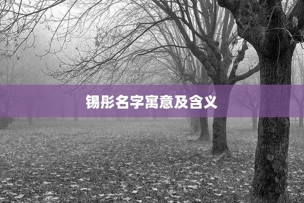锡彤名字寓意及含义