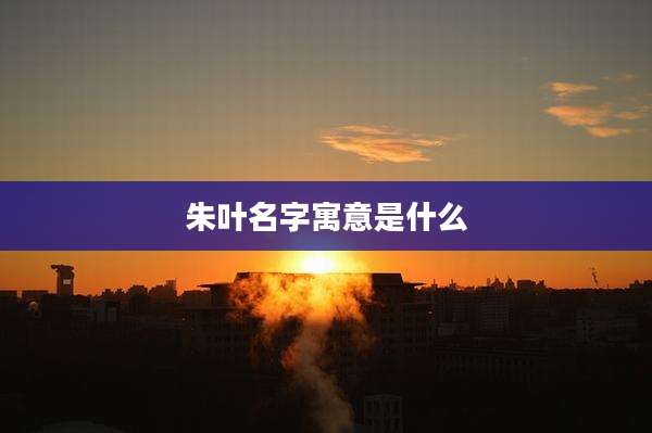 朱叶名字寓意是什么