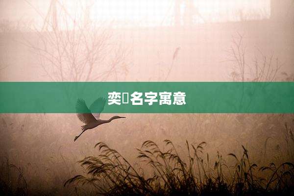 奕莀名字寓意