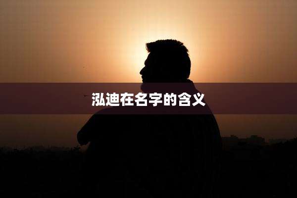 泓迪在名字的含义