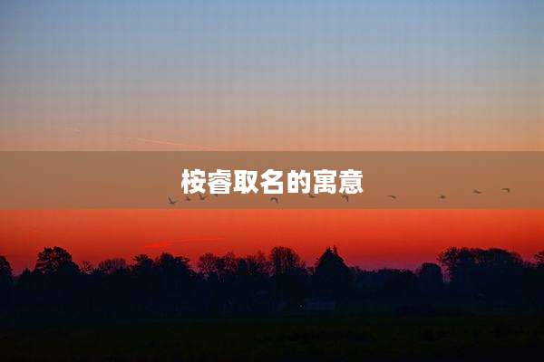 桉睿取名的寓意