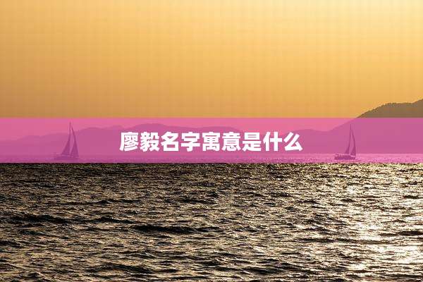 廖毅名字寓意是什么