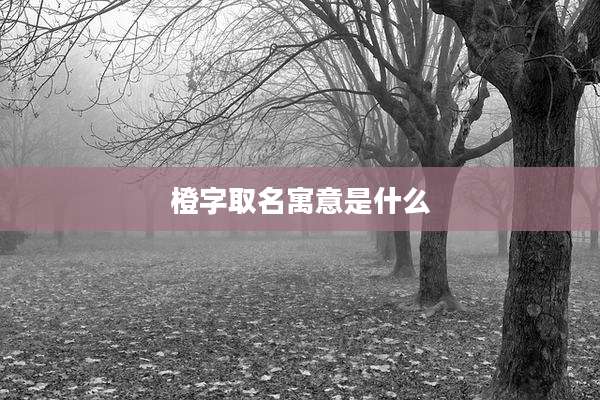 橙字取名寓意是什么