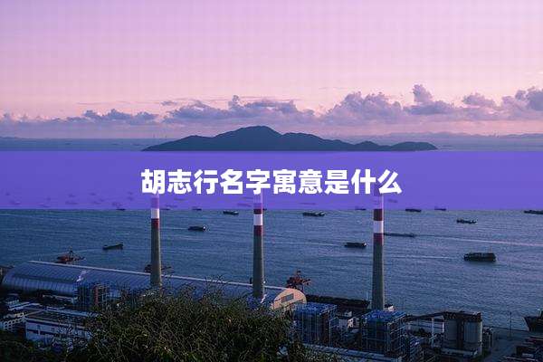 胡志行名字寓意是什么