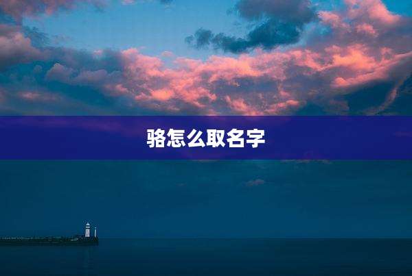 骆怎么取名字