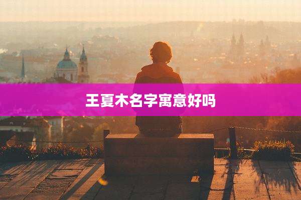 王夏木名字寓意好吗