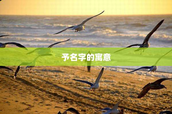 予名字的寓意