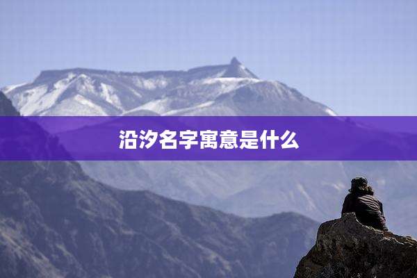 沿汐名字寓意是什么