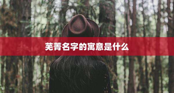 芜菁名字的寓意是什么