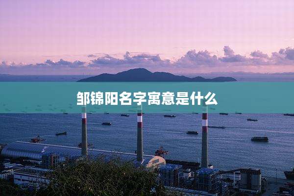 邹锦阳名字寓意是什么