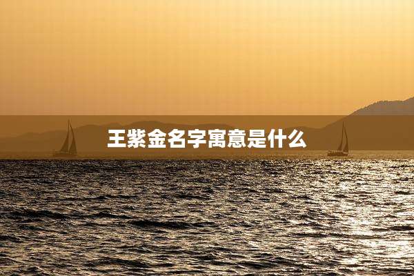 王紫金名字寓意是什么