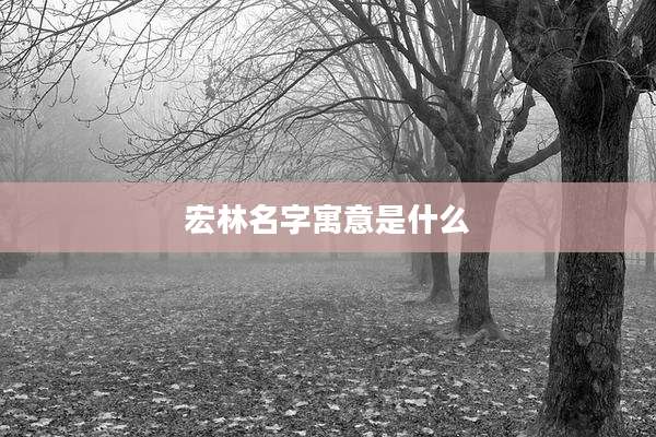 宏林名字寓意是什么