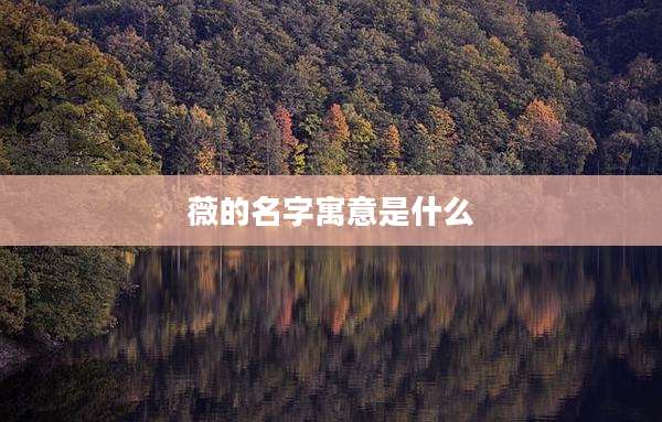 薇的名字寓意是什么