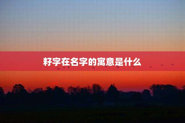 籽字在名字的寓意是什么