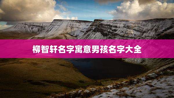 柳智轩名字寓意男孩名字大全