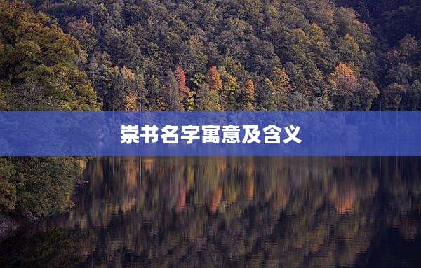 崇书名字寓意及含义