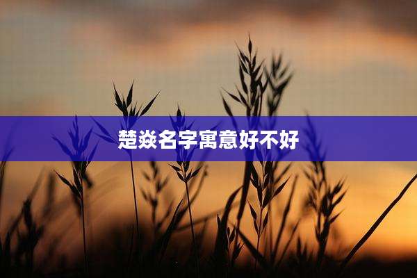 楚焱名字寓意好不好