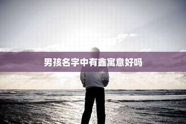 男孩名字中有鑫寓意好吗