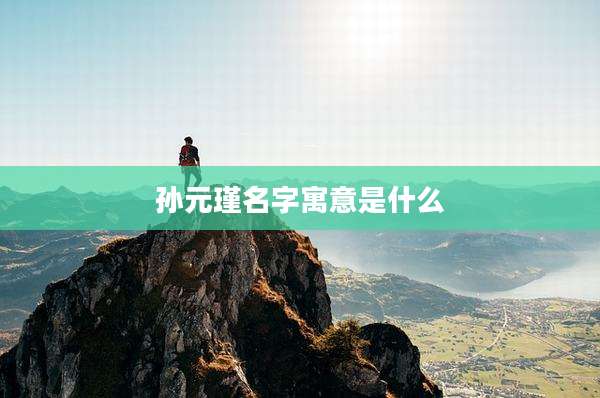 孙元瑾名字寓意是什么