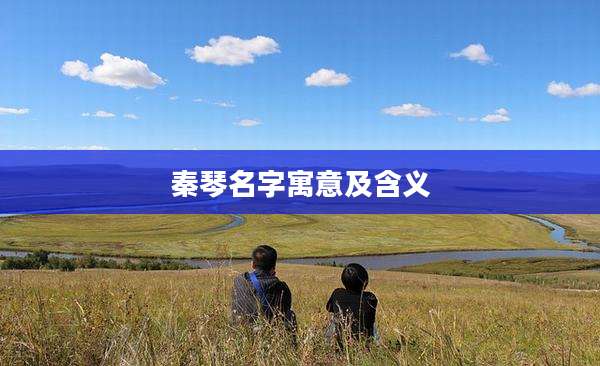 秦琴名字寓意及含义