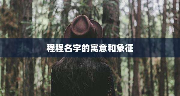 程程名字的寓意和象征