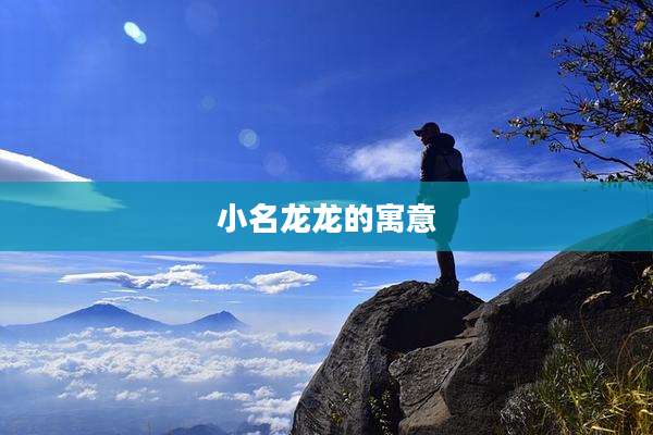 小名龙龙的寓意