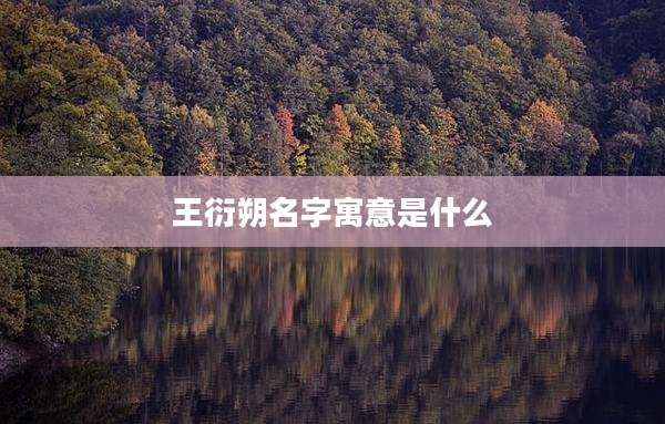 王衍朔名字寓意是什么
