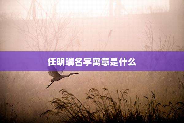 任明瑞名字寓意是什么