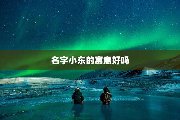 名字小东的寓意好吗