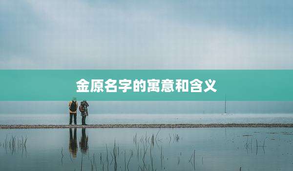 金原名字的寓意和含义