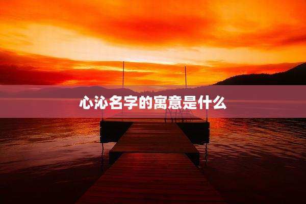 心沁名字的寓意是什么