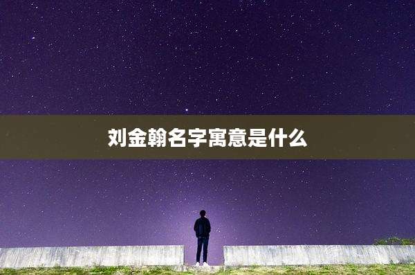 刘金翰名字寓意是什么