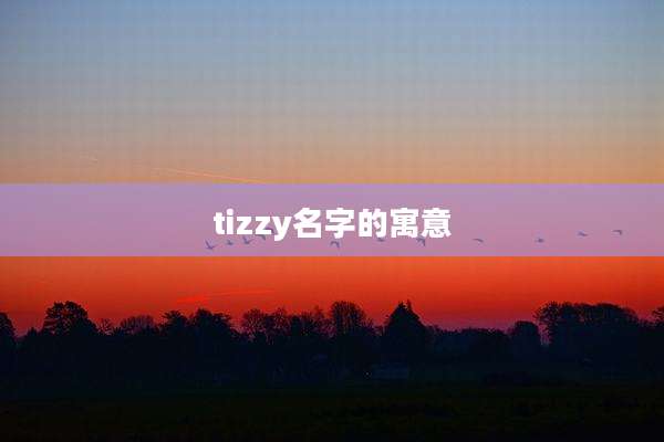 tizzy名字的寓意
