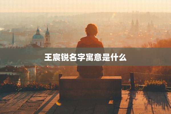 王宸锐名字寓意是什么