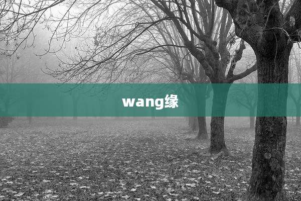 wang缘