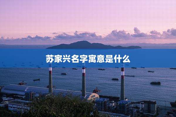 苏家兴名字寓意是什么