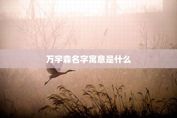 万宇森名字寓意是什么