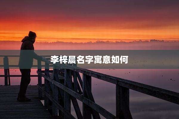 李梓晨名字寓意如何