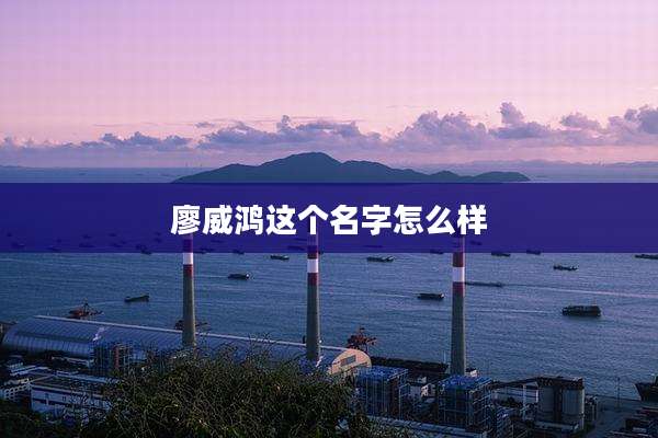 廖威鸿这个名字怎么样