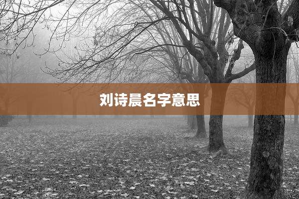 刘诗晨名字意思