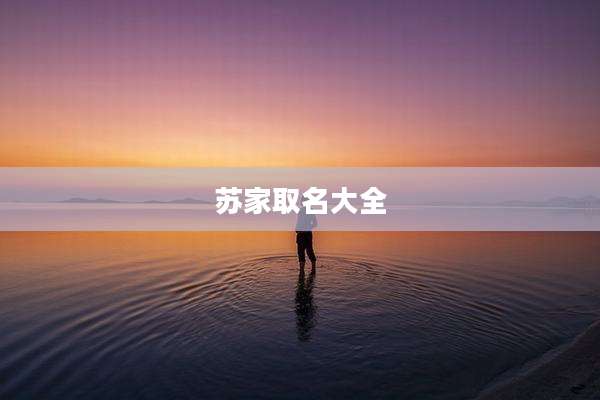 苏家取名大全