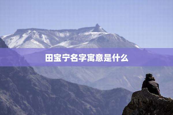 田宝宁名字寓意是什么