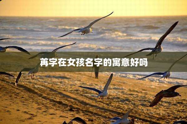 苒字在女孩名字的寓意好吗