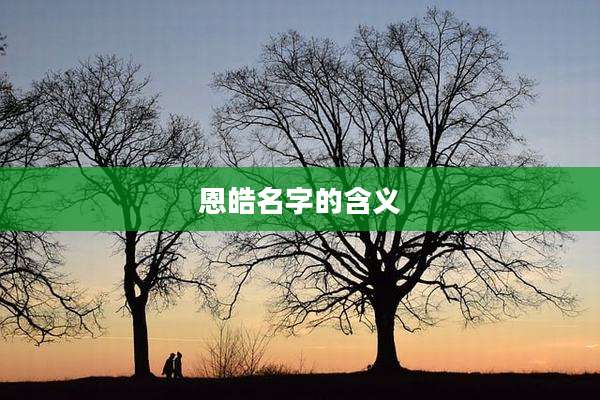 恩皓名字的含义